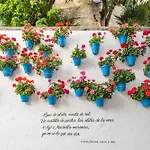 Center - 350m Διαμέρισμα